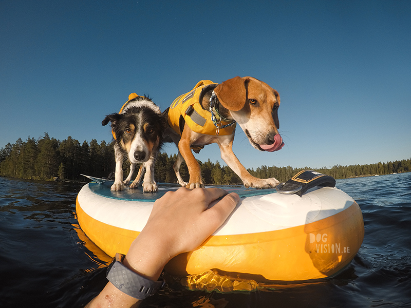 Paddling with dogs, SUP with dogs, outdoor adventures with dogs in Sweden, dog photography DOGvision, www.DOGvision.eu