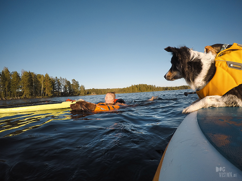 Paddling with dogs, SUP with dogs, outdoor adventures with dogs in Sweden, dog photography DOGvision, www.DOGvision.eu