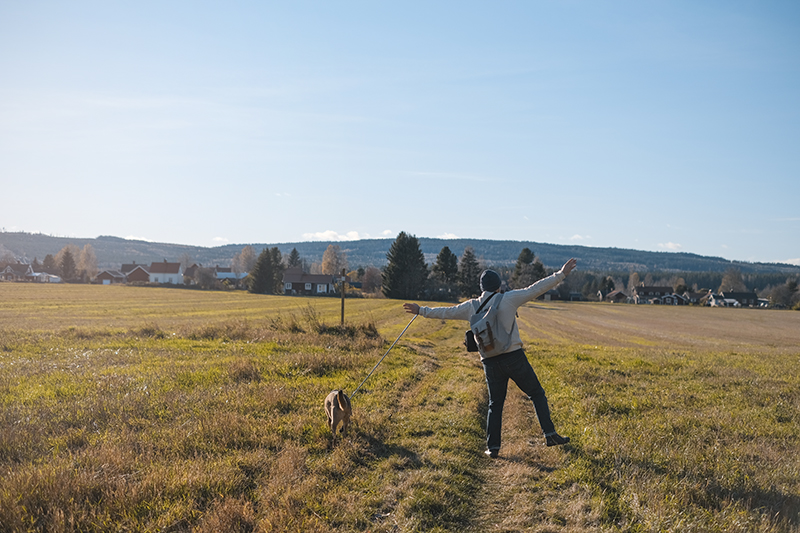 #TongueOutTuesday (43), weekly photo project, Border Collie, hiking with dogs, Sweden, www.DOGvision.eu