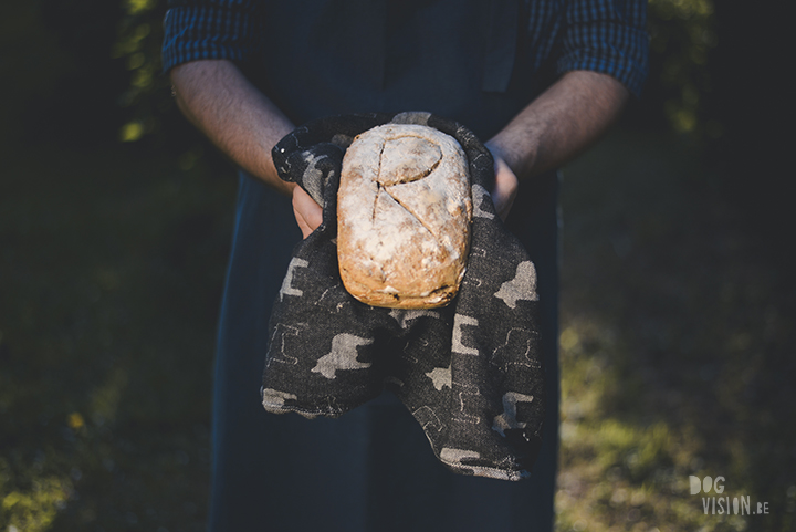 Homemade bread in honor of Ravasz, www.DOGvision.eu