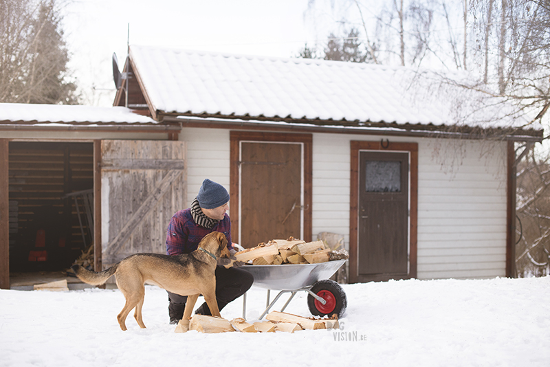 Nordic winter in Sweden, a man and his dog filling up the wood to warm the house Rescue dog Oona. www.DOGvision.eu