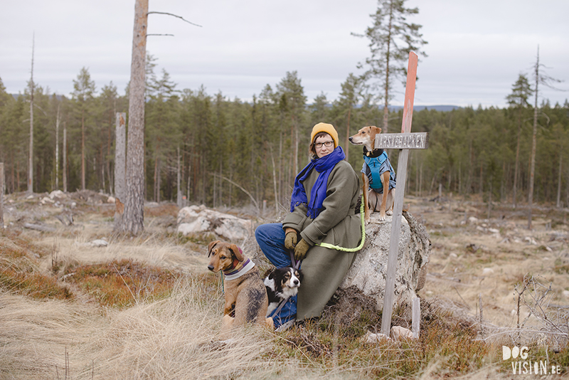 DOGvision dog photography in Dalarna Sweden, hiking with dogs, Nordic lifestyle, www.DOGvision.eu