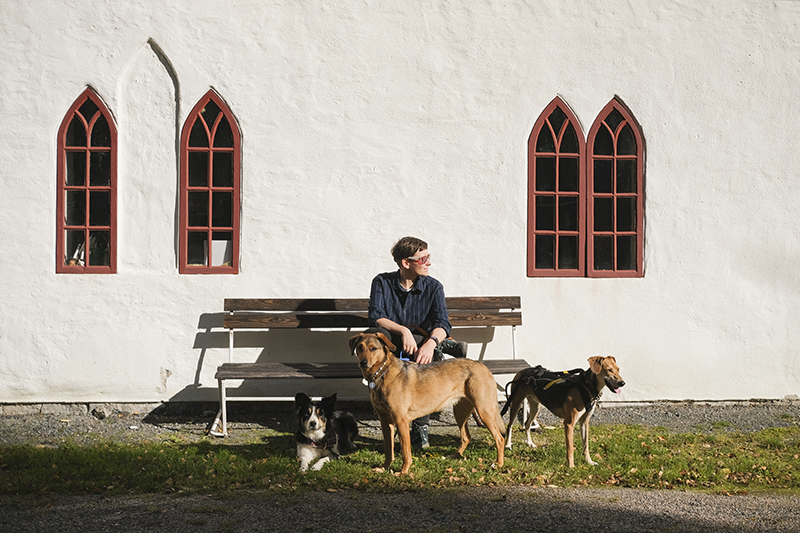 #TongueOutTuesday, dog photography Sweden, Border Collie, rescue dogs, hiking with dogs in Scandinavia, Nordic lifestyle, www.DOGvision.eu