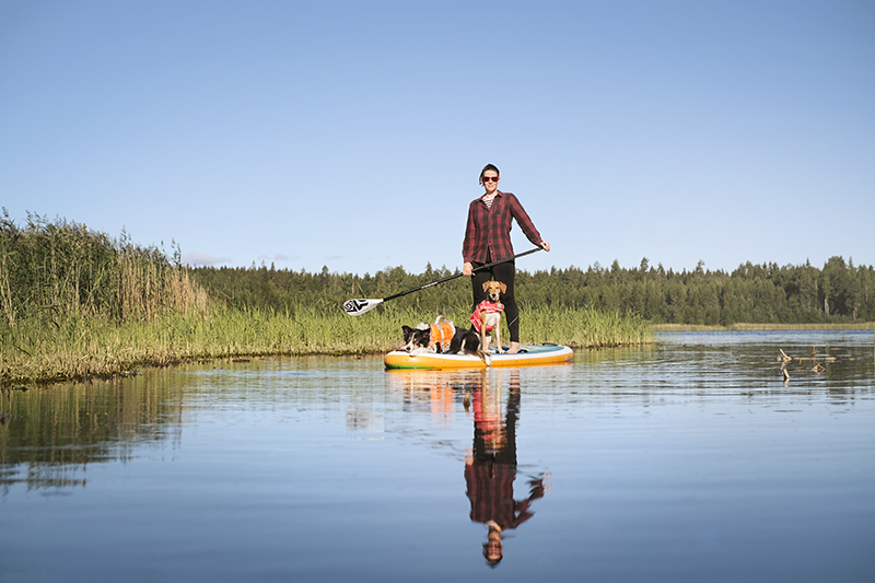 TongueOutTuesday (31), summer days with the dogs in Sweden, life vest Hurtta, camping with dogs, paddling with dogs, www.DOGvision.eu