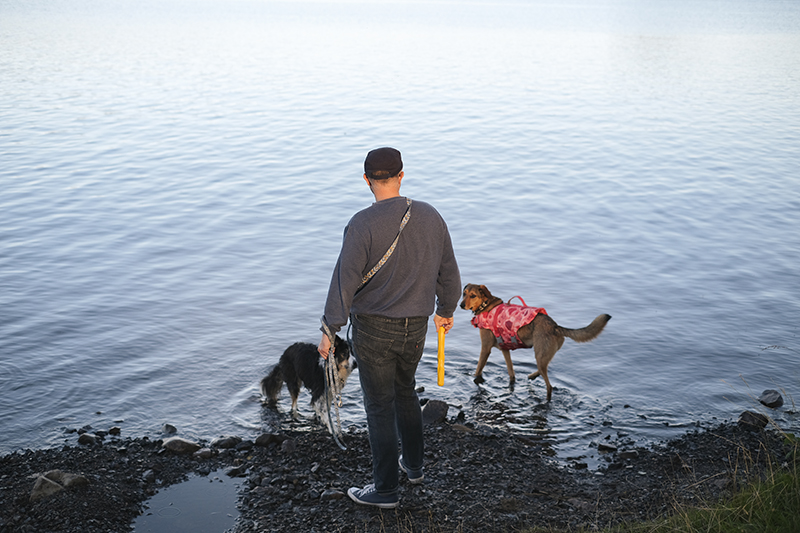 TongueOutTuesday (31), summer days with the dogs in Sweden, life vest Hurtta, camping with dogs, paddling with dogs, www.DOGvision.eu