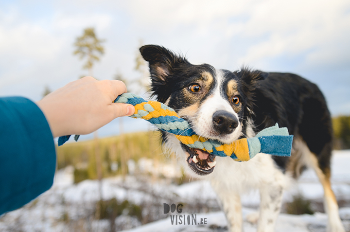 DIY voor Honden: fleece trektouw | tug of war| hondenfotografie en blog| www.DOGvision.beDIY voor Honden: fleece trektouw | tug of war| hondenfotografie en blog| www.DOGvision.be