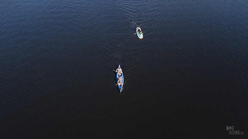 Paddling with dogs, SUP with dogs, outdoor adventures with dogs in Sweden, dog photography DOGvision, www.DOGvision.eu