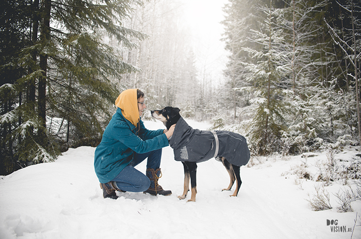 #TongueOutTuesday (05) | honden blog uit Zweden | www.DOGvision.be