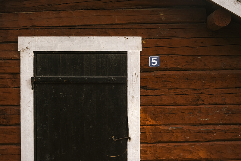 Small red cabin, Border Collie Mogwai, dogvision dog photography Europe Sweden