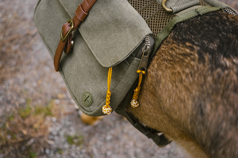 Dog scavenger hunt, mondo cane adventure dog challenge, summer puzzles, dogs in Sweden, dog photography, www.DOGvision.eu