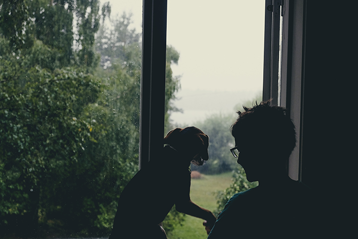 watching the rain with dog, dog photographer europe, www.DOGvision.eu