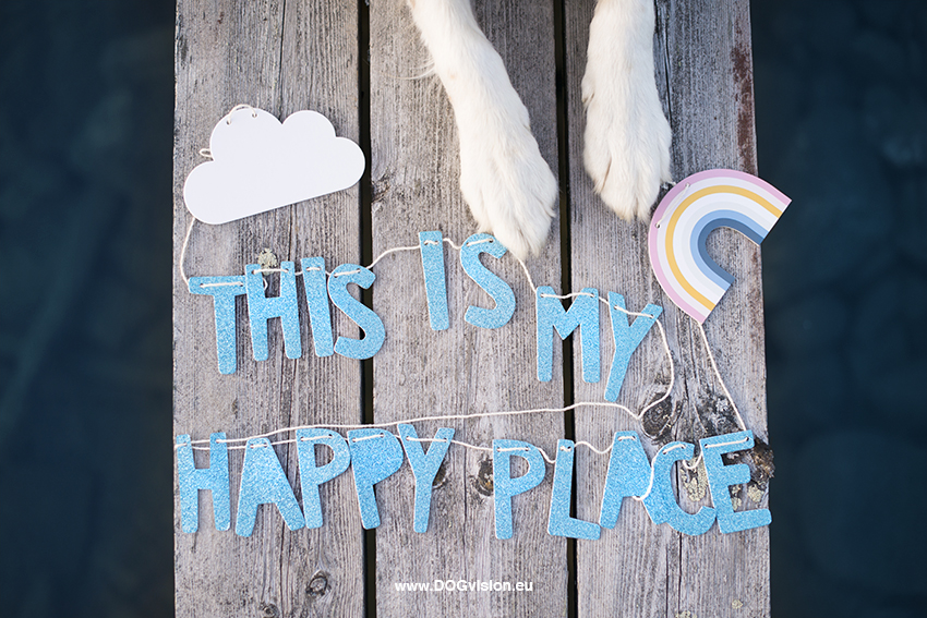 This is my happy Place, hondenfotografie Fenne Kustermans, H&M, www.DOGvision.be