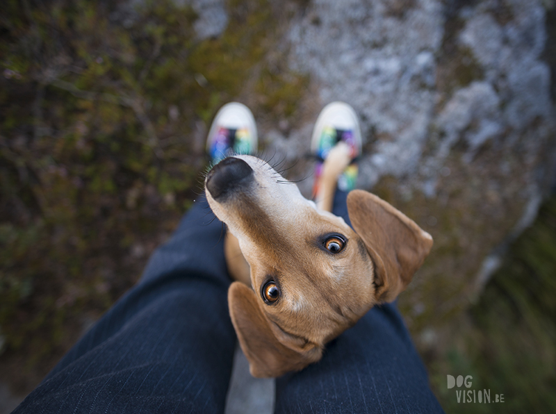 This is my happy Place, hondenfotografie Fenne Kustermans, H&M, www.DOGvision.be