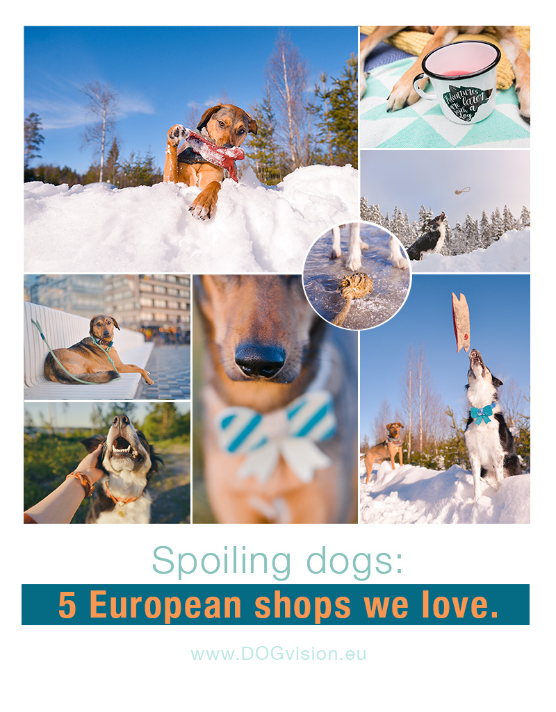 5 European shops for dog products that we love, www.DOGvision.eu