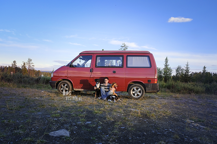 Road tripping with dogs | dog photography | www.DOGvision.be