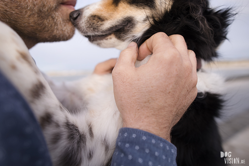 Traveling Europe with dogs, exploring Denmark, Skagen Løkken, AIRbnb Denmark, dog photographer, www.DOGvision.eu