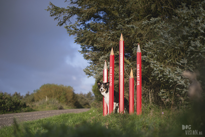 Traveling Europe with dogs, exploring Denmark, Skagen Løkken, AIRbnb Denmark, dog photographer, www.DOGvision.eu