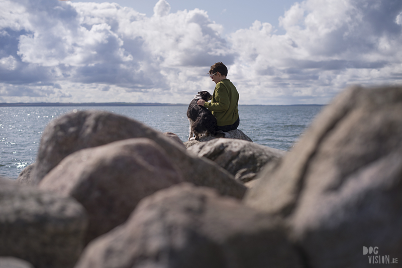 Traveling Europe with dogs, exploring Denmark, Skagen Løkken, AIRbnb Denmark, dog photographer, www.DOGvision.eu