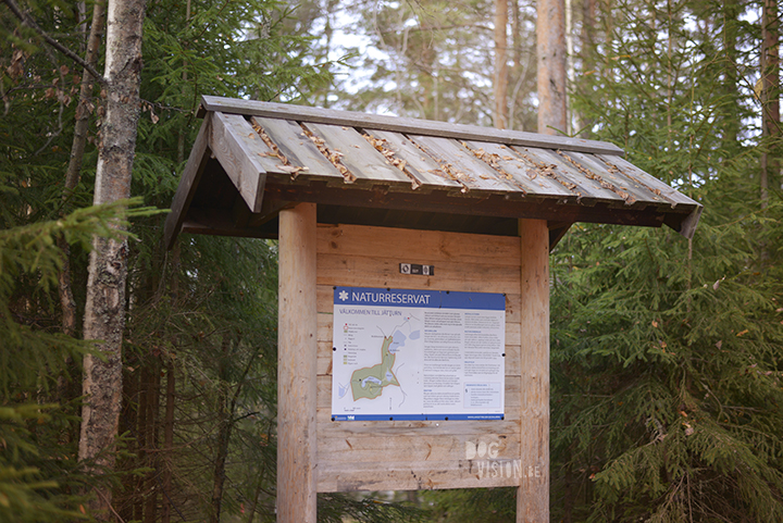 Hiking with dogs in Sweden: Jätturn naturreservat (Dalarna) | blog and dog photography: www.DOGvision.eu