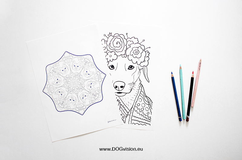 DOGvision printable dog drawing and mandala, www.DOGvision.eu