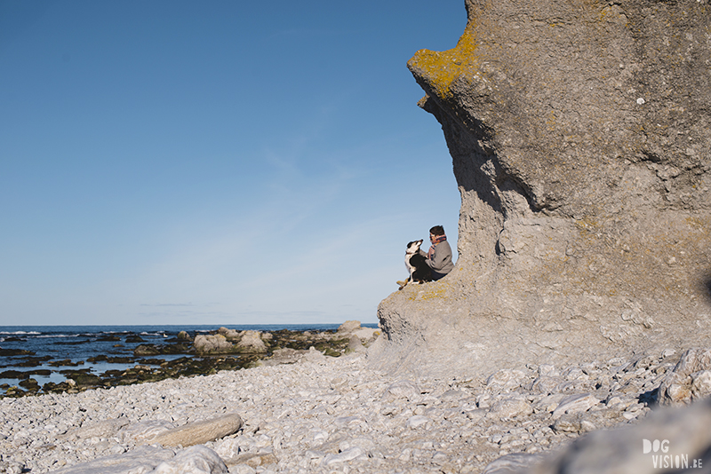 Exploring Gotland, Sweden, traveling with dogs, Europa dog travel, hiking with dogs, dog photographer nordics, www.DOGvision.eu