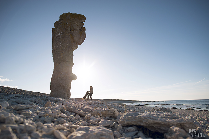 Exploring Gotland, Sweden, traveling with dogs, Europa dog travel, hiking with dogs, dog photographer nordics, www.DOGvision.eu