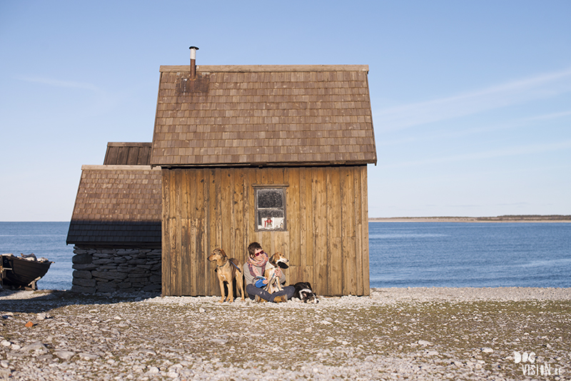 Traveling with dogs, Gotland, Sweden, dog photography, Travel Europe, www.dogvision.eu