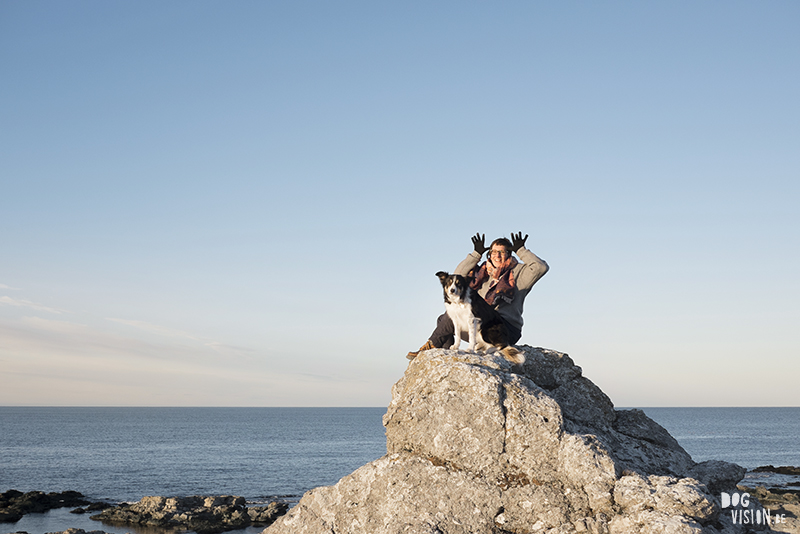 Exploring Gotland, Sweden, traveling with dogs, Europa dog travel, hiking with dogs, dog photographer nordics, www.DOGvision.eu