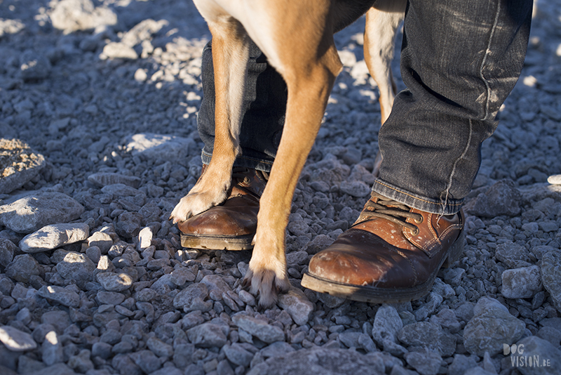 Exploring Gotland, Sweden, traveling with dogs, Europa dog travel, hiking with dogs, dog photographer nordics, www.DOGvision.eu