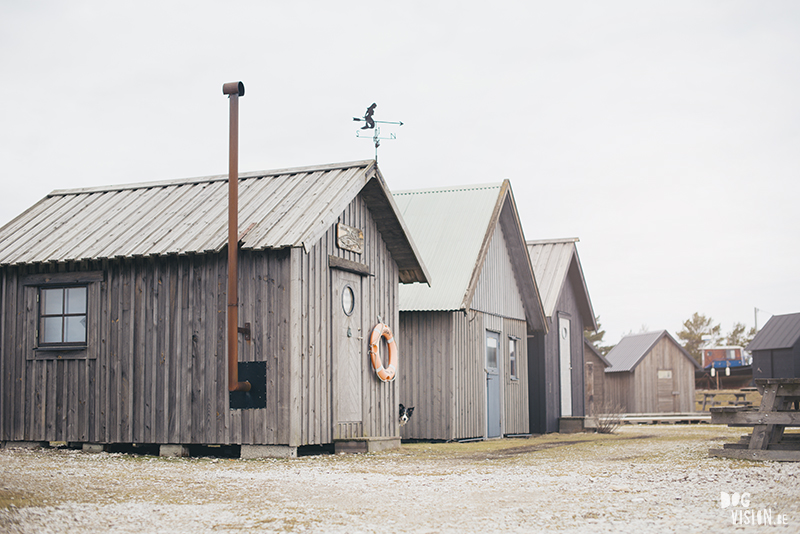 Exploring Gotland, Sweden, traveling with dogs, Europa dog travel, hiking with dogs, dog photographer nordics, www.DOGvision.eu