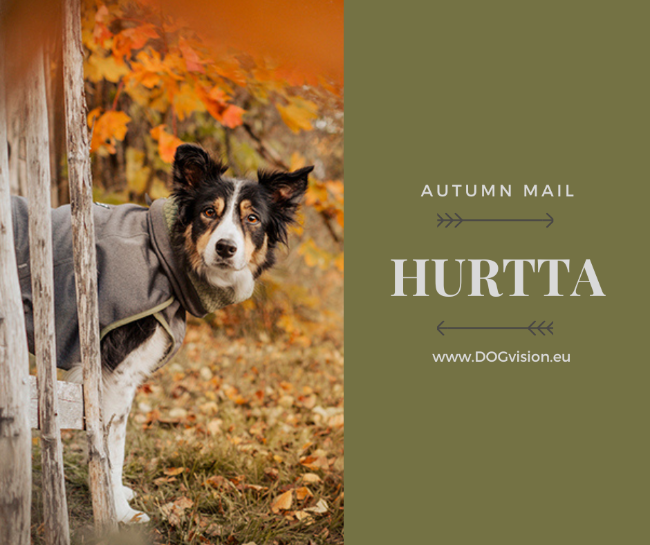 Hurtta adventurers unboxing autumn mail, dog gear Finland, Border Collie, dog photography, dog coats, www.DOGvision.eu