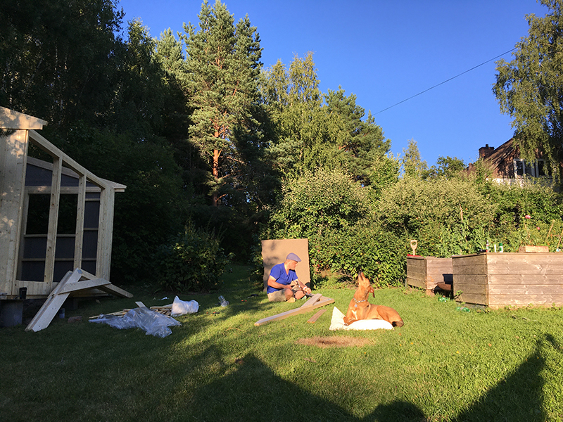 Fenne Kustermans, building a cabin in the garden, cabin project, dog photography Sweden, dog photographer, www.DOGvision.eu