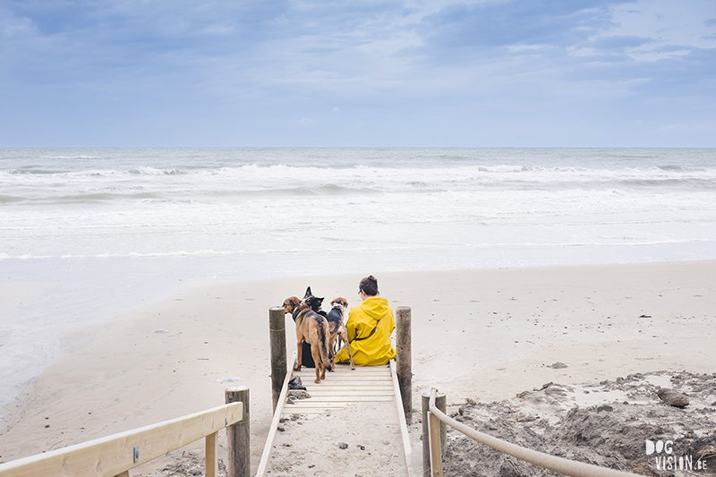 Traveling Europe with dogs, exploring Denmark, Skagen Løkken, AIRbnb Denmark, dog photographer, www.DOGvision.eu