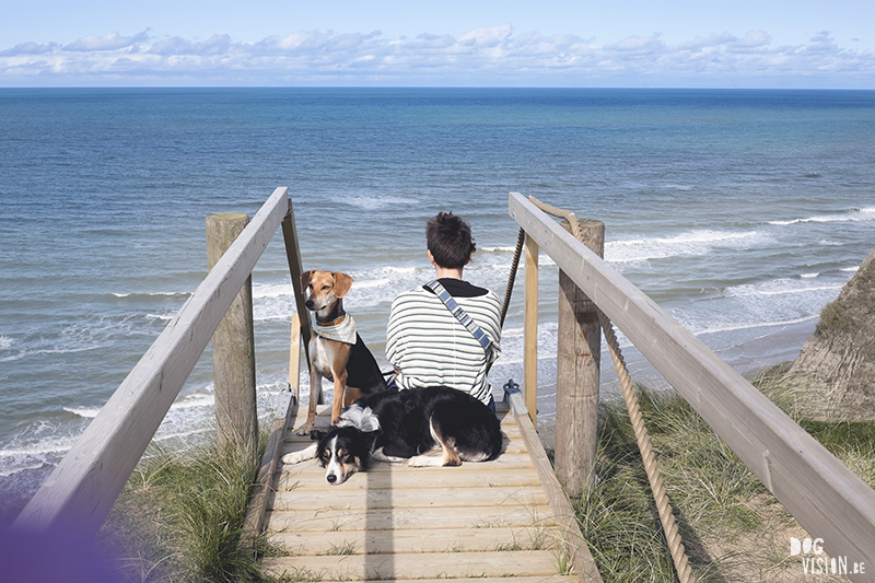 Traveling Europe with dogs, exploring Denmark, Skagen Løkken, AIRbnb Denmark, dog photographer, www.DOGvision.eu