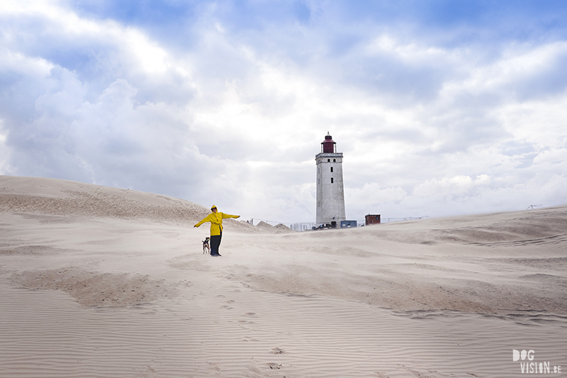 Traveling Europe with dogs, exploring Denmark, Skagen Løkken, AIRbnb Denmark, dog photographer, www.DOGvision.eu