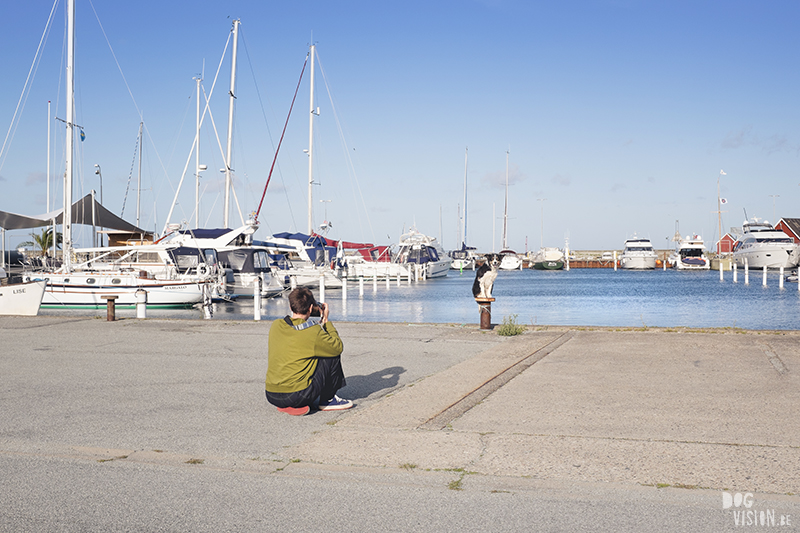 Traveling Europe with dogs, exploring Denmark, Skagen Løkken, AIRbnb Denmark, dog photographer, www.DOGvision.eu