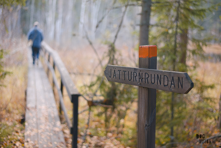 Jätturn naturreservat (Dalarna, Sweden) | www.DOGvision.be