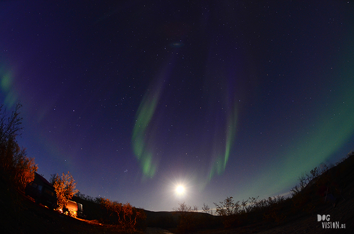 Camping ground in Finland | Northern lights | travel with dogs | www.DOGvision.be