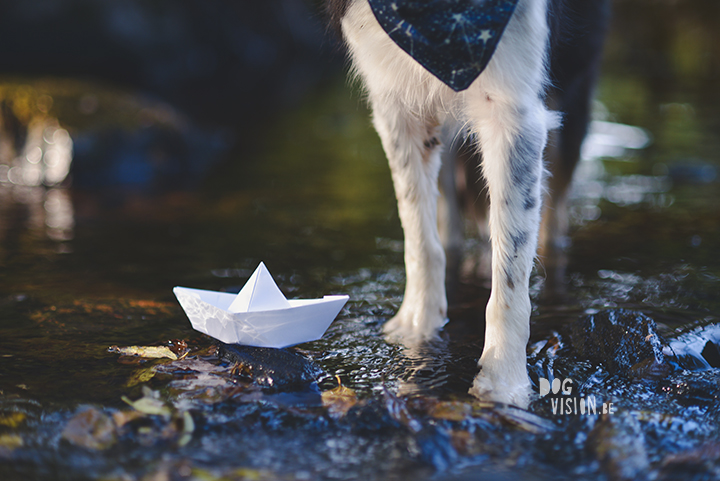 Riverside | Border Collie | creative dog photography | paper boat | The story behind the photo, blog on www.DOGvision.be (Hondenfotografie)