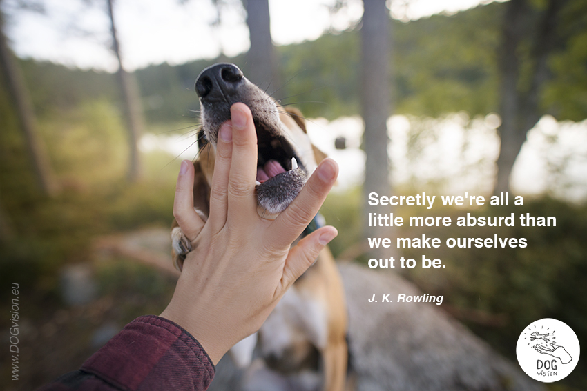 DOG blog, dog photographer Sweden, JK Rowling quote, Secretly we're all a little more absurd than we make ourselves out to be., www.DOGvision.eu
