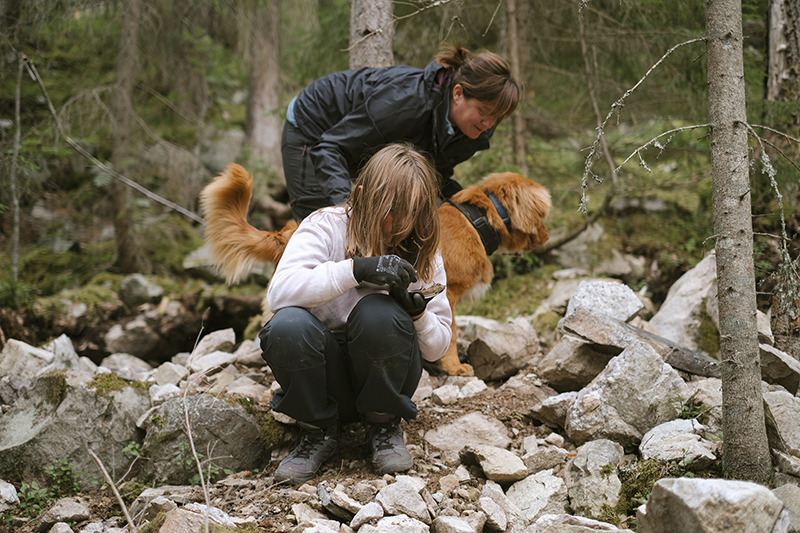 Crystal hunting with dogs in Sweden, www.DOGvision.eu
