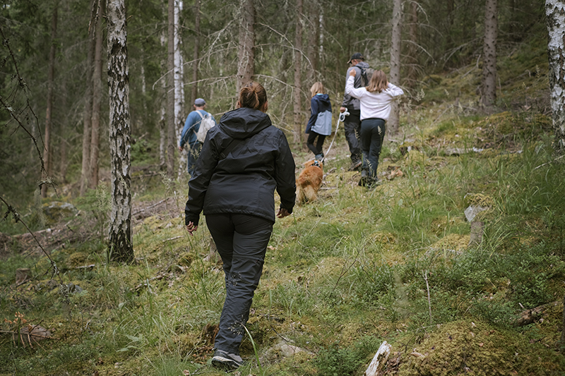 Gus the Toller (Nova Scotia Duck Tollig retriever), Crystal hunting in the Swedish woods, hiking with dogs, www.DOGvision.eu