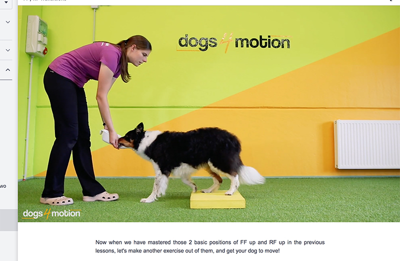 Online dog training course with Dogs for Motion from Slovenia, review, www.DOGvision.eu
