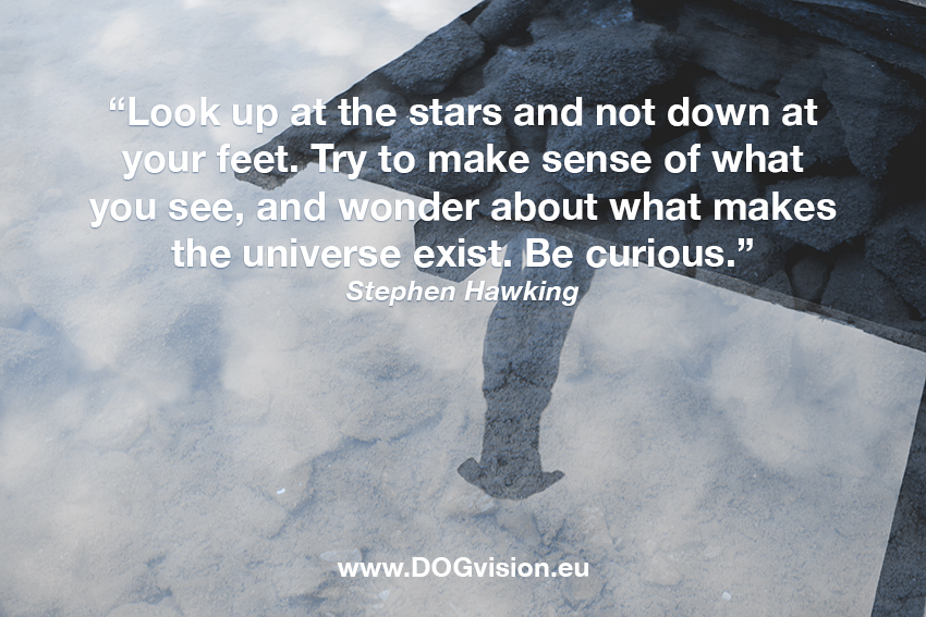 Stephen-hawkin-quote, monday motivation, dog photographer Fenne Kustermans, www.DOGvision.eu