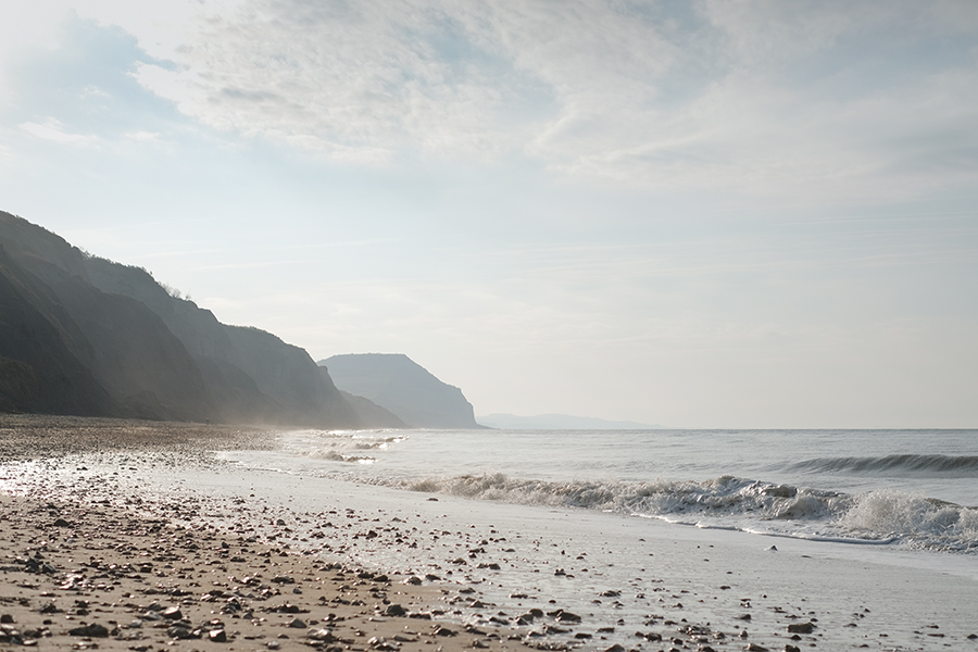 Dogs and dinosaurs, fossil hunting at the Jurassic coast England, www.DOGvision.eu