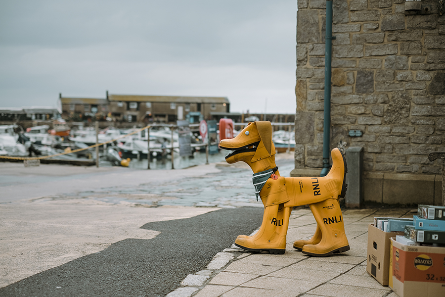 Dogs and dinosaurs, fossil hunting at the Jurassic coast England, www.DOGvision.eu