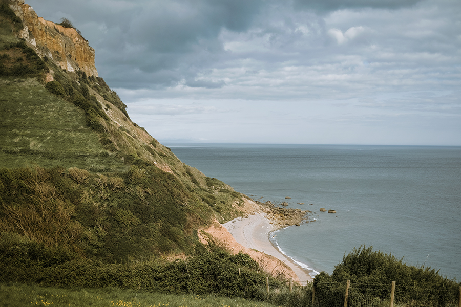 Dogs and dinosaurs, fossil hunting at the Jurassic coast England, www.DOGvision.eu