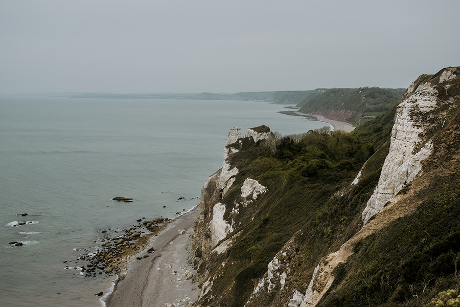 Dogs and dinosaurs, fossil hunting at the Jurassic coast England, www.DOGvision.eu