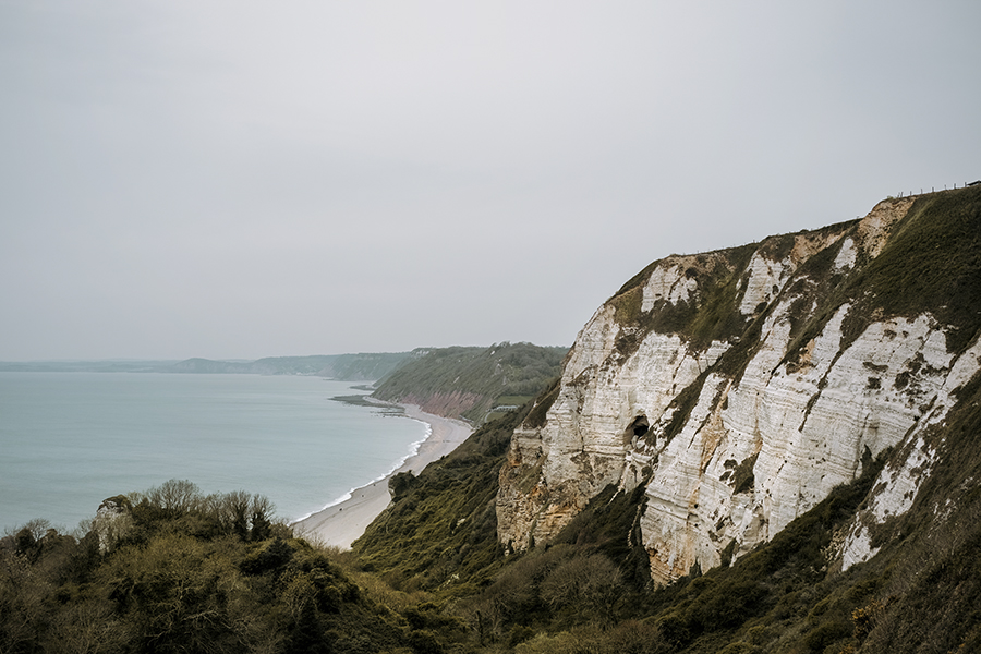 Dogs and dinosaurs, fossil hunting at the Jurassic coast England, www.DOGvision.eu