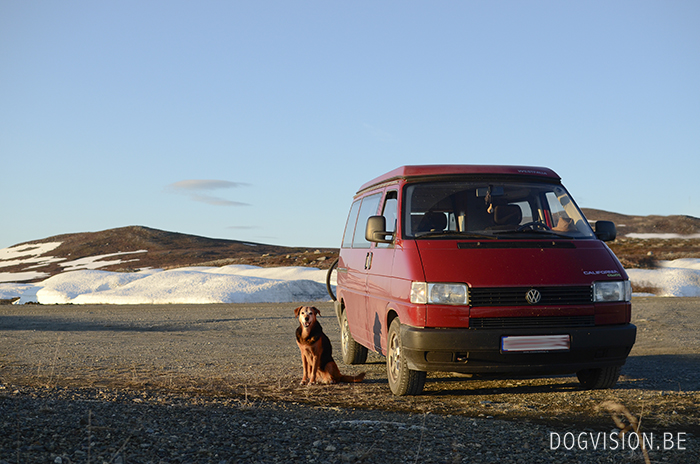 Lapland | Traveling with dogs | www.DOGvision.be